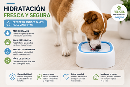 Plato Bebedero De Mascota Anti Reguero